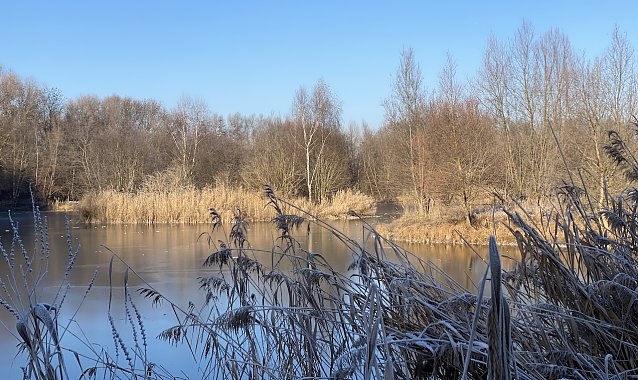 Bild: Im Wochenverlauf wird es wieder k&auml;lter, Silvester aber w&auml;rmer