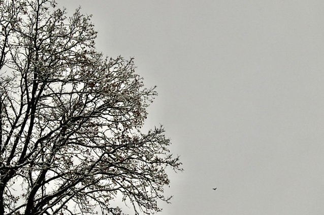 Bild: Wetterbild