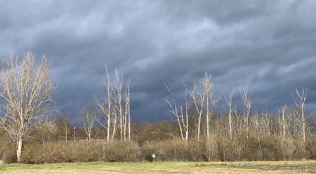 Bild: Das fr&uuml;hliingshafte Wetter bleibt uns weiter erhalten