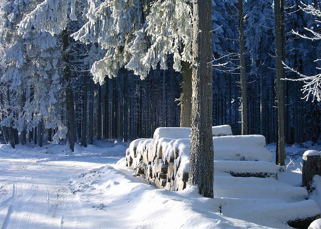 Bild: Waldbesucher m&uuml;ssen Holzpolter als eine offenkundige Gefahr erkennen  