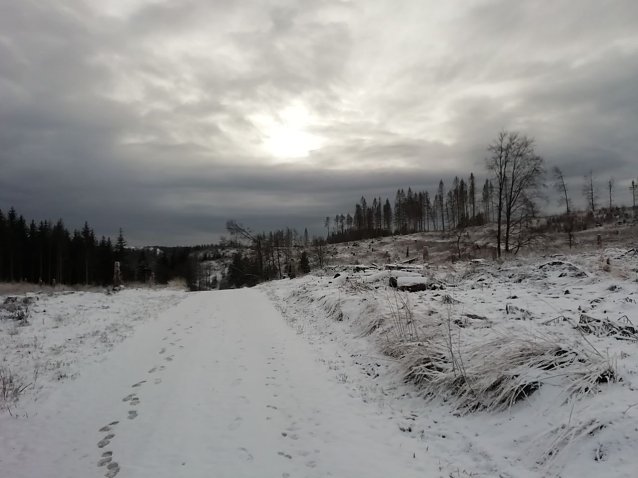 Bild: Schneebedeckt und wolkenverhangen zeigt sich der Harz bei Sophienhof