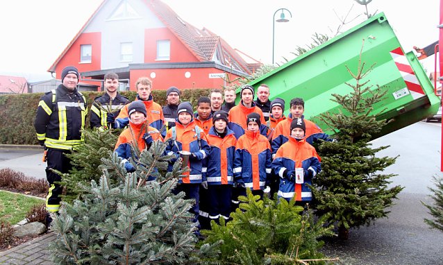 Bild: Kleine Helfer sammelten Weihnachtsb&auml;ume ein