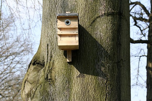 Bild: Holznistkasten