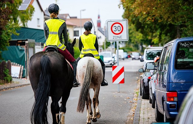 Bild: F&uuml;r Reiter gelten im Stra&szlig;enverkehr die gleichen Vorschriften wie f&uuml;r Autofahrer