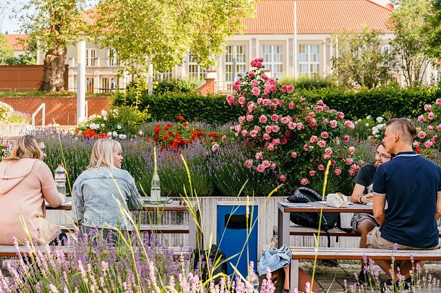 Bild: Die Hochschule Nordhausen bietet ab sofort zwei Orientierungssemester an 