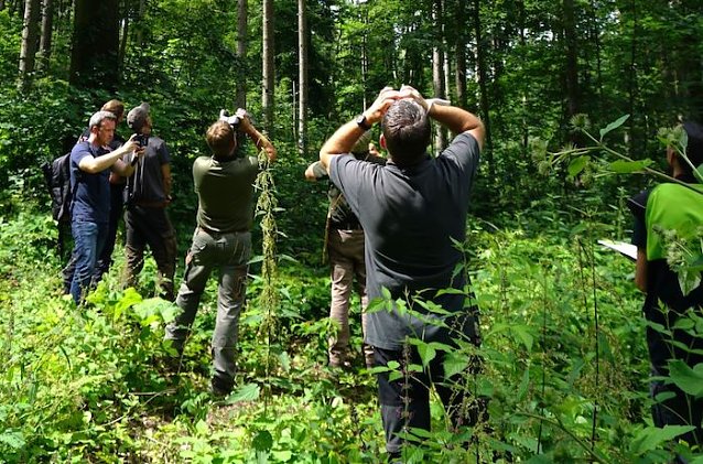 Bild: Waldzustandsexperten in Auftrag von Th&uuml;ringenForst