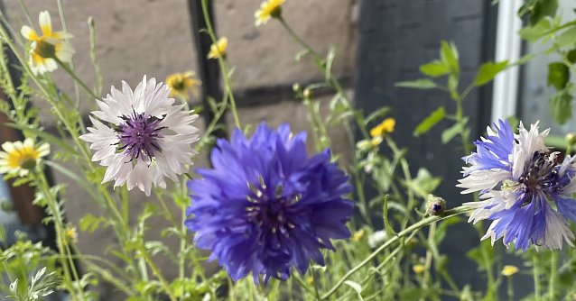 Bild: Zur&uuml;ckgehende Temperaturen nach Gewittern am Montag