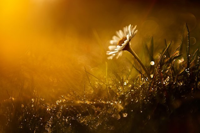 Bild: Wetterbild