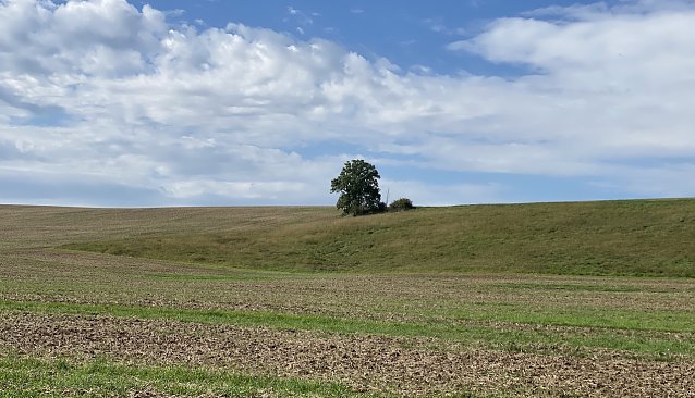 Bild: Der Herbst h&auml;lt langsam Einzug in Th&uuml;ringen