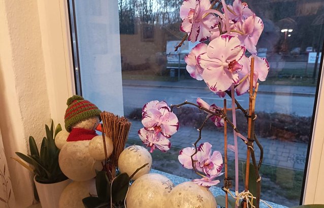 Bild: Standhafter Schneemann