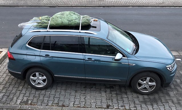 Bild: Beim Transport auf dem Dach muss der Weihnachtsbaum mit Spanngurten richtig gesichert werden 