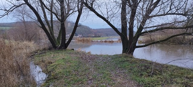Bild: Spaziergang entlang der Unstrut aus Richtung Gorsleben in Richtung Sachsenburg