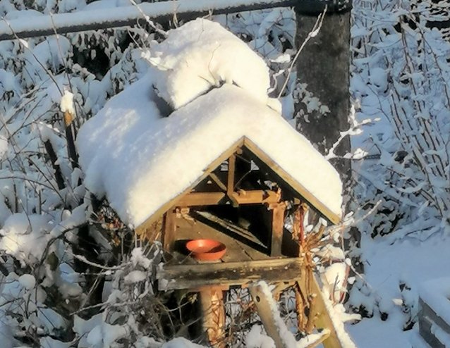 Bild: Besuch am Morgen