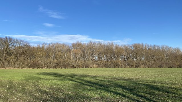 Bild: Am Badew&auml;ldchen bei Bad Langensalza