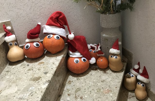 Bild: Voller Ungeduld fiebern wir dem Weihnachtsfest entgegen
