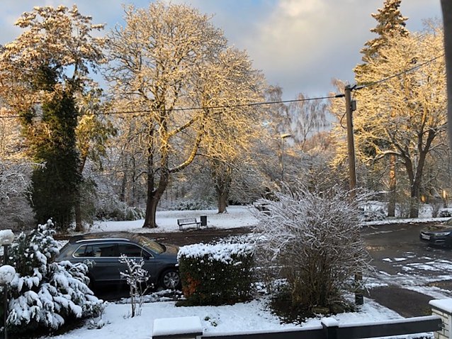 Bild: Blick auf den F&ouml;rstemannpark in Nordhausen im November 2023
