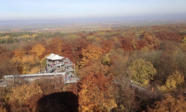 Bild: Baumkronenpfad Bad Langensalza im Herbst