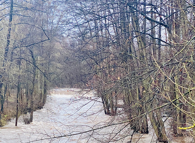 Bild: Wetterbild