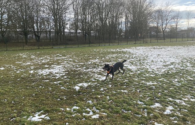 Bild: Kommt der Winter auch bald ins Flachland zur&uuml;ck?