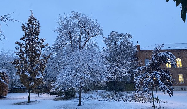 Bild: Der Winter kehrt zur&uuml;ck. bringt er auch wieder Schnee?