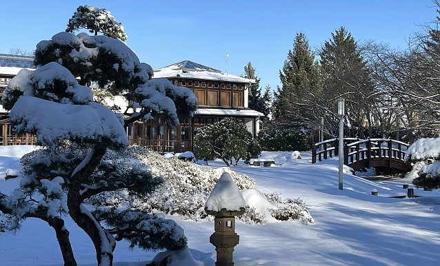 Bild: Japanischer Garten Bad Langensalza