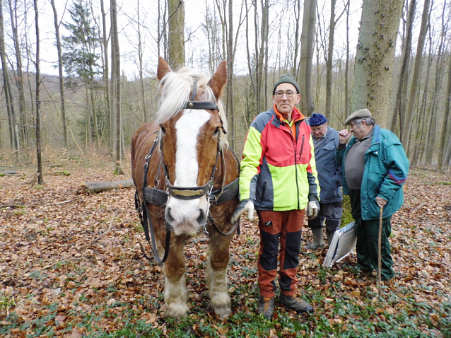 Bild: Vorf&uuml;hrung im Wald