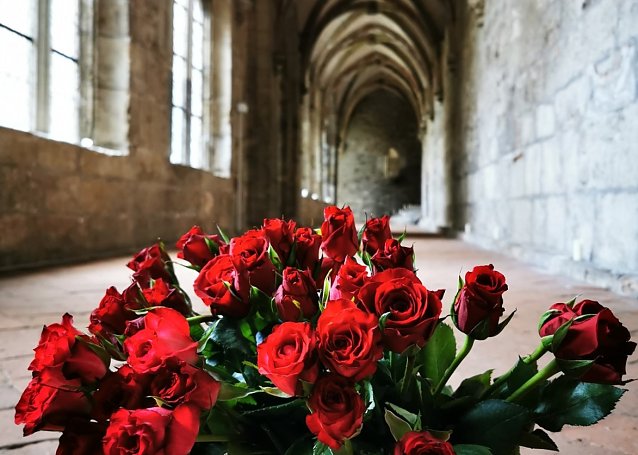 Bild: Rosen im Zisterzienser Kloster