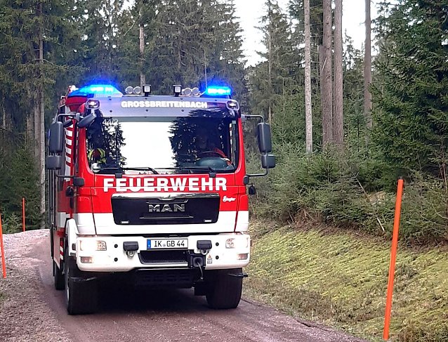 Bild: Brennt es, geht auch im Wald nichts ohne Feuerwehr! Die Waldbrandbek&auml;mpfung muss von den Experten durchgef&uuml;hrt werden. Forstleute unterst&uuml;tzen organisatorisch wie technisch und helfen bei der abschlie&szlig;enden Brandwache