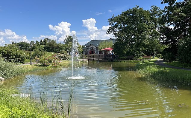 Bild: Im Rosengarten Bad Langensalza