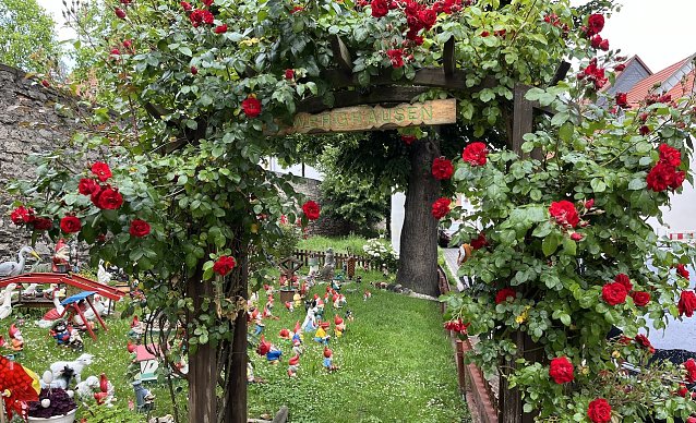 Bild: Mitten in der Kur- und Rosenstadt Bad Langensalza