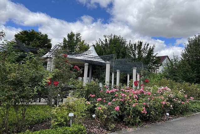 Bild: Rosengarten Bad Langensalza