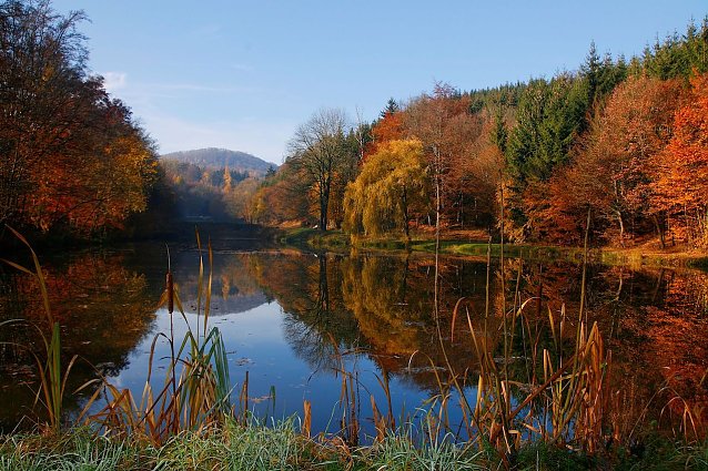 Bild: Die W&auml;lder um das Brauertal bei Eisenach zeigen sich bald von ihrer buntesten Seite