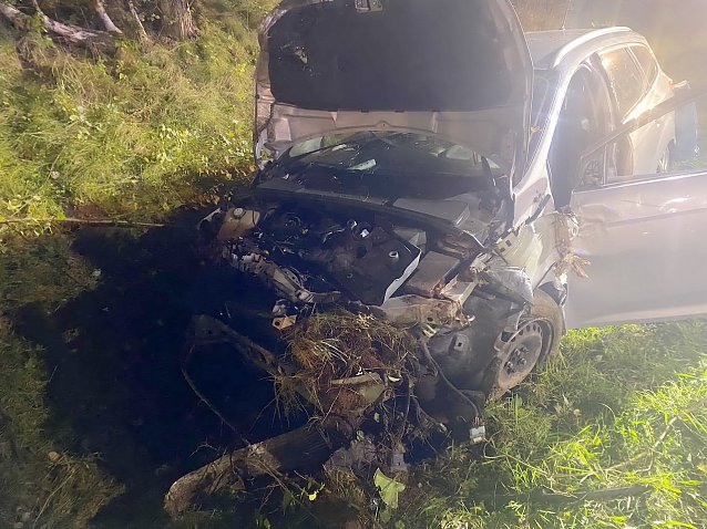 Bild: Wildunfall gestern Abend