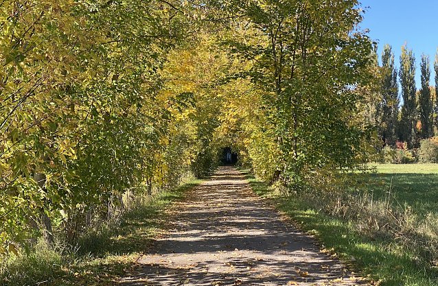 Bild: Das st&uuml;rmische Herbstwetter l&auml;sst nach