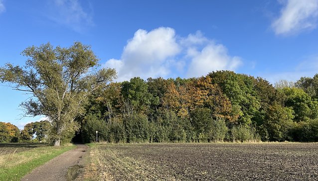 Bild: Am Badew&auml;ldchen Bad Langensalza