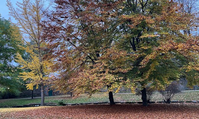 Bild: Weiter ruhiges Herbstwetter, aber k&auml;lter