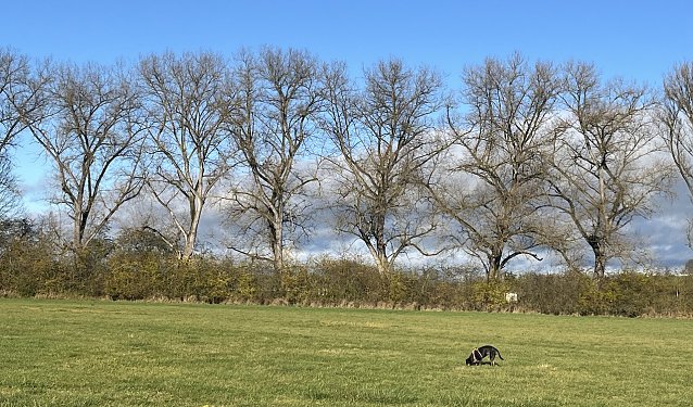Bild: Wieder freundlicheres Herbstwetter