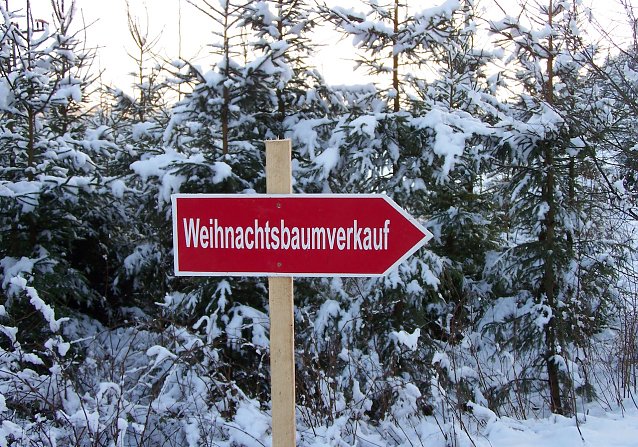 Bild: Ein Naturbaum und den am besten selbst schlagen beim Waldbesitzenden um die Ecke � samt Winterspa&szlig; f&uuml;r die ganze Familie