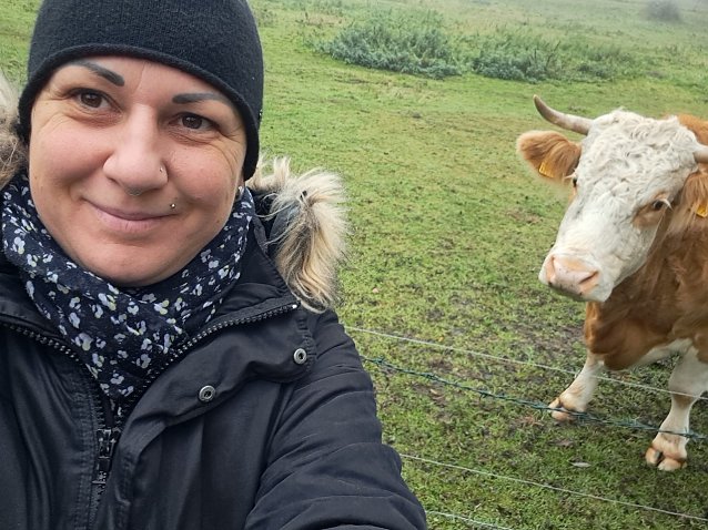 Bild: Momentaufnahme: Die neugierige Kuh mit Frau