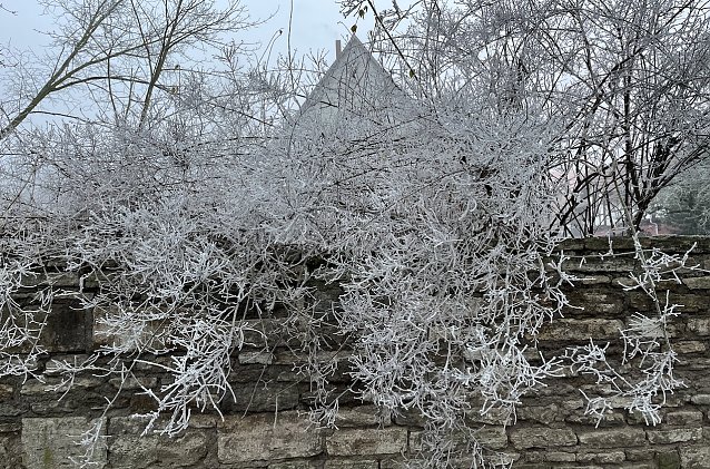 Bild: Winterliches Wetter bleibt vorerst bestimmend