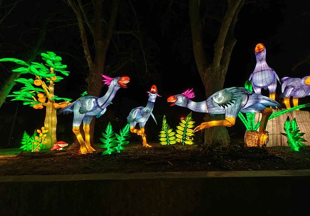 Bild: Magische Lichterwelten in Halle