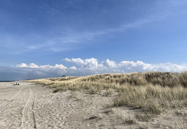 Bild: Ostseestrand