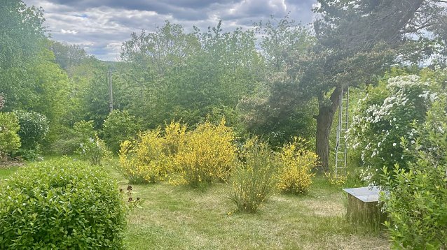 Bild: Momentaufnahme in Neustadt (1)