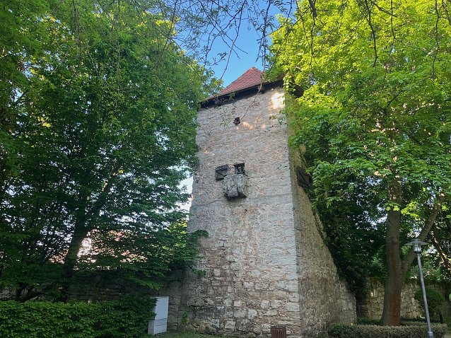 Bild: Fr&uuml;hlingssonne im Kurpark