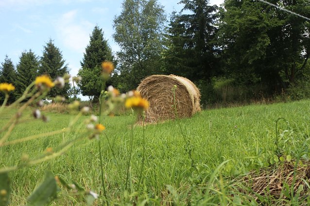 Bild: Wetterbild