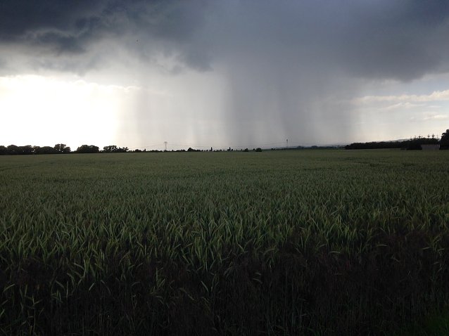 Bild: Das Wetterbild
