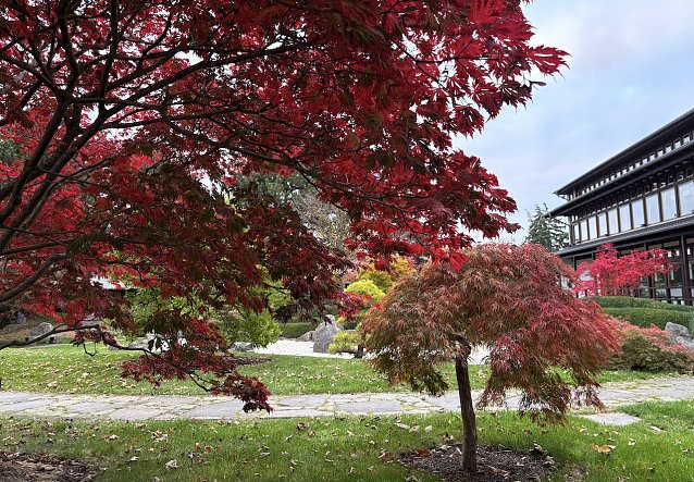 Bild: Herbst im Japanischen Garten