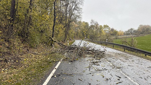 Bild: 26. Oktober 2025 - Umgest&uuml;rzter Baum auf der Landstra&szlig;e zwischen Buchholz und Neustadt.