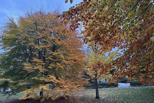 Bild: Ruhiges Herbstwetter am heutigen Feiertag