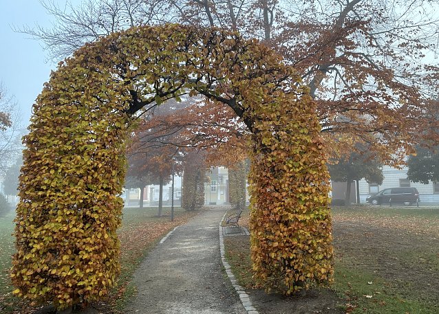 Bild: Weiter ruhiges Herbstwetter